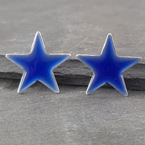 Geometric Enamelled Earrings in Sterling Silver a Earrings from A Little Trinket